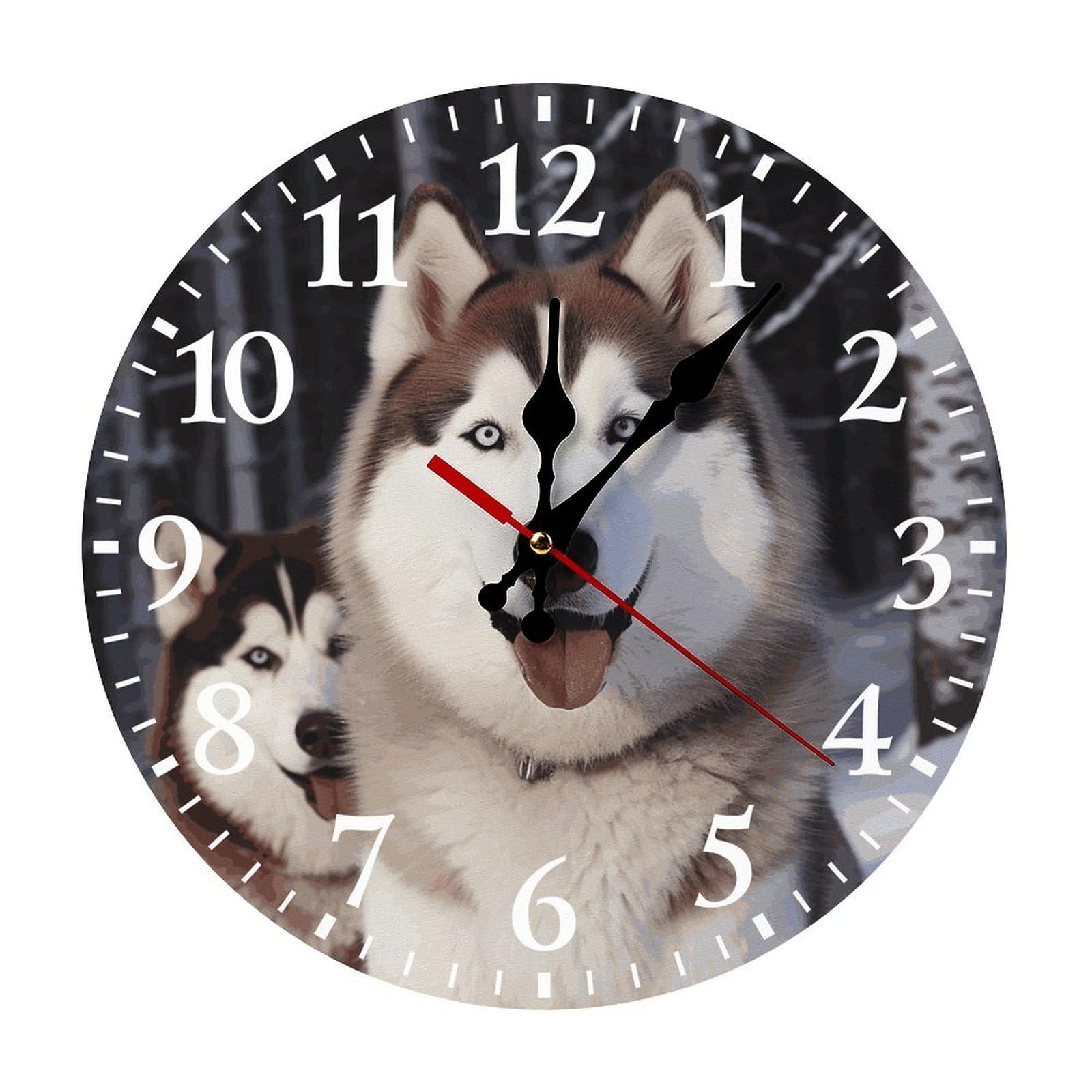 QMNLKH Huskies Wall Clock for Home, Battery Operated Clock for Hotel, Round Wall Clock with Arabic Numerals White, Easy to Read, Non-Ticking Clocks for Living Room 25 * 25cm
