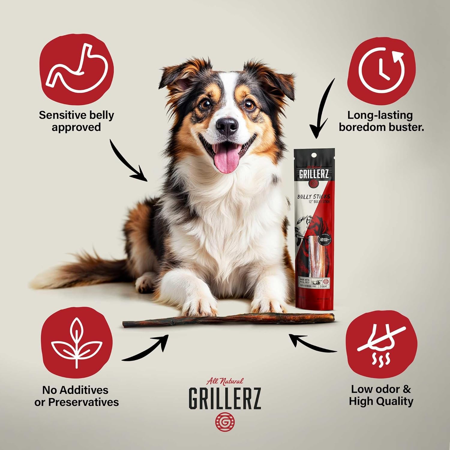 Grillerz Thick Bully Sticks, 2 Count, 12 inch, All Natural Dog Treat for All Breeds, Dog Chew for Healthy Teeth (Pack of 2)