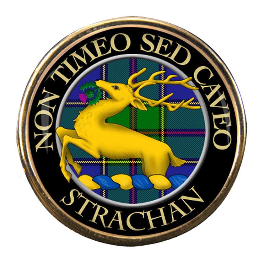 Family-Crests.com Men's Gold Strachan Scottish Clan Pin Badge