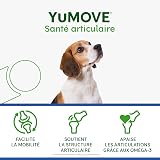 YuMOVE Arthrose Chien Senior 8+ Ans - 120 Comprimés - 170mg par Comprimé Brevet en Instance ActivEase Moule Verte Chien - Glucosamine Chondroïtine Chien pour Mobilité - Complément Articulation Senior - 4