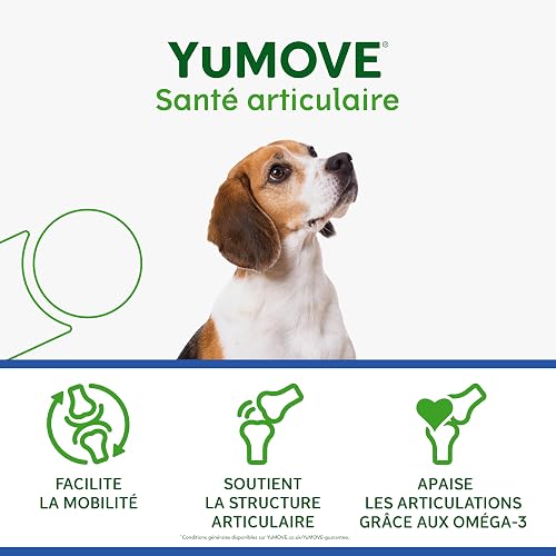 YuMOVE Arthrose Chien Senior 8+ Ans - 120 Comprimés - 170mg par Comprimé Brevet en Instance ActivEase Moule Verte Chien - Glucosamine Chondroïtine Chien pour Mobilité - Complément Articulation Senior - 4