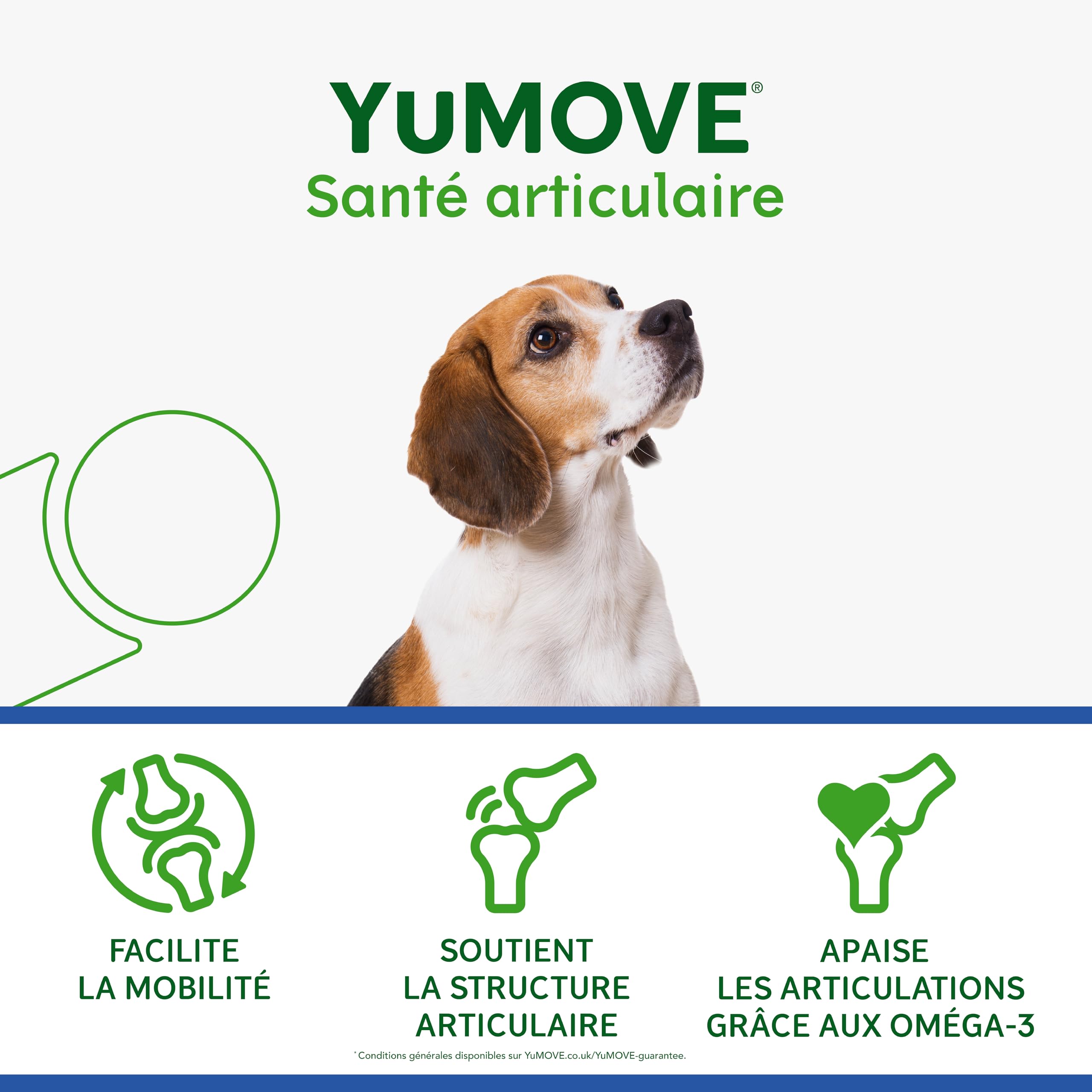 YuMOVE Arthrose Chien Senior 8+ Ans - 120 Comprimés - 170mg par Comprimé Brevet en Instance ActivEase Moule Verte - Glucosamine Chondroïtine et Acide Hyaluronique pour Mobilité Complément Articulation