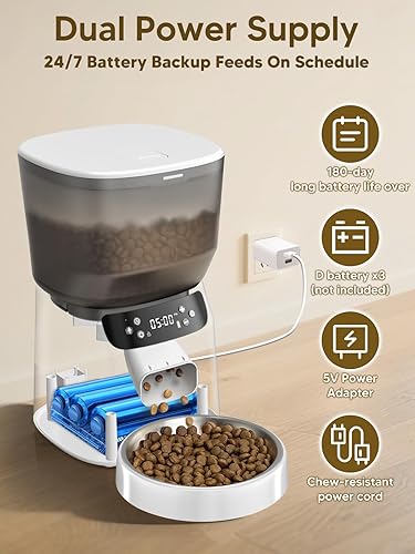 Automatic Cat Feeder and Water Fountain — lifestyle photo