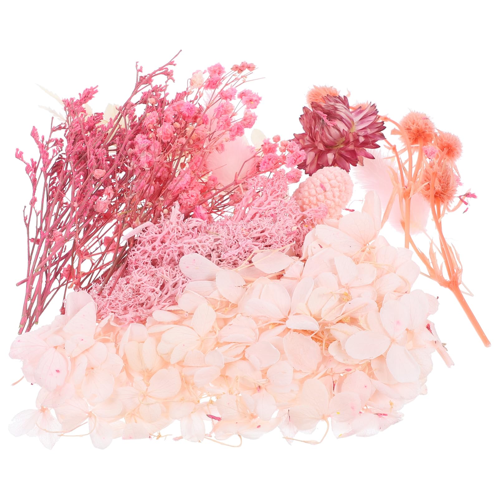 COHEALI 5sets Fiori Secchi Pressati Naturali Per Decorazioni Fai Te Fiori Per Candele e Artigianato Creativo