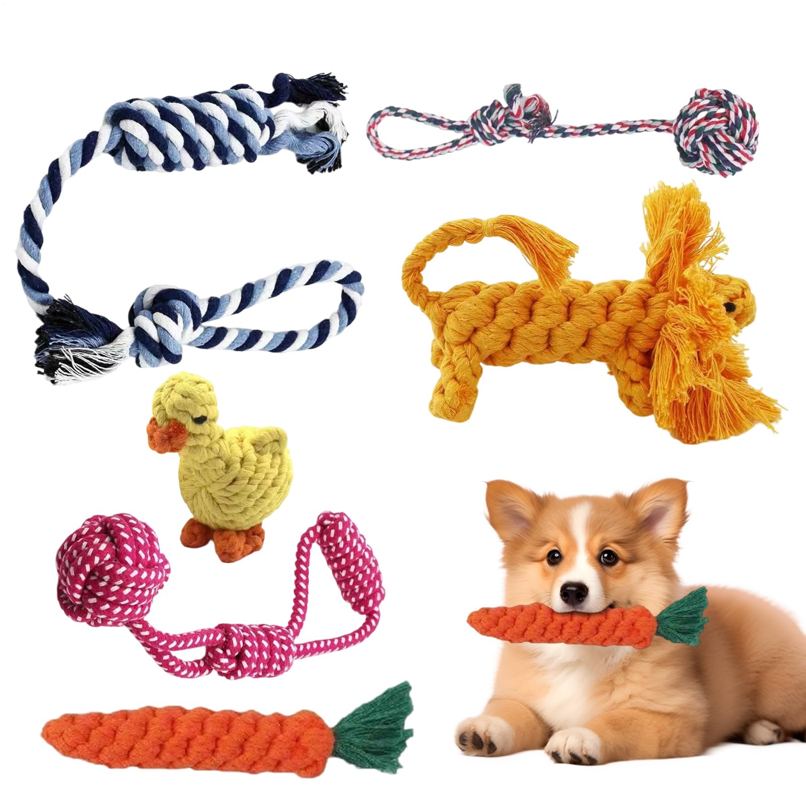Corde pour chiens : pack de 6 jouets interactifs en coton à mâcher