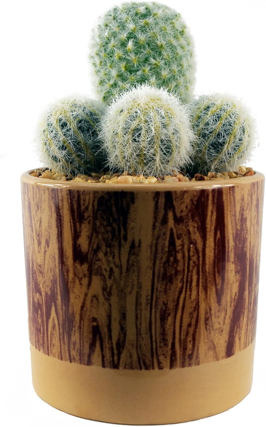 Kunstmatige Cactus Met Een Santa Claus Dat Kerst - Speelgoed En Een Kunstmatige Cactus Met Een Santa Claus Dat Kerst - Speelgoed En Een