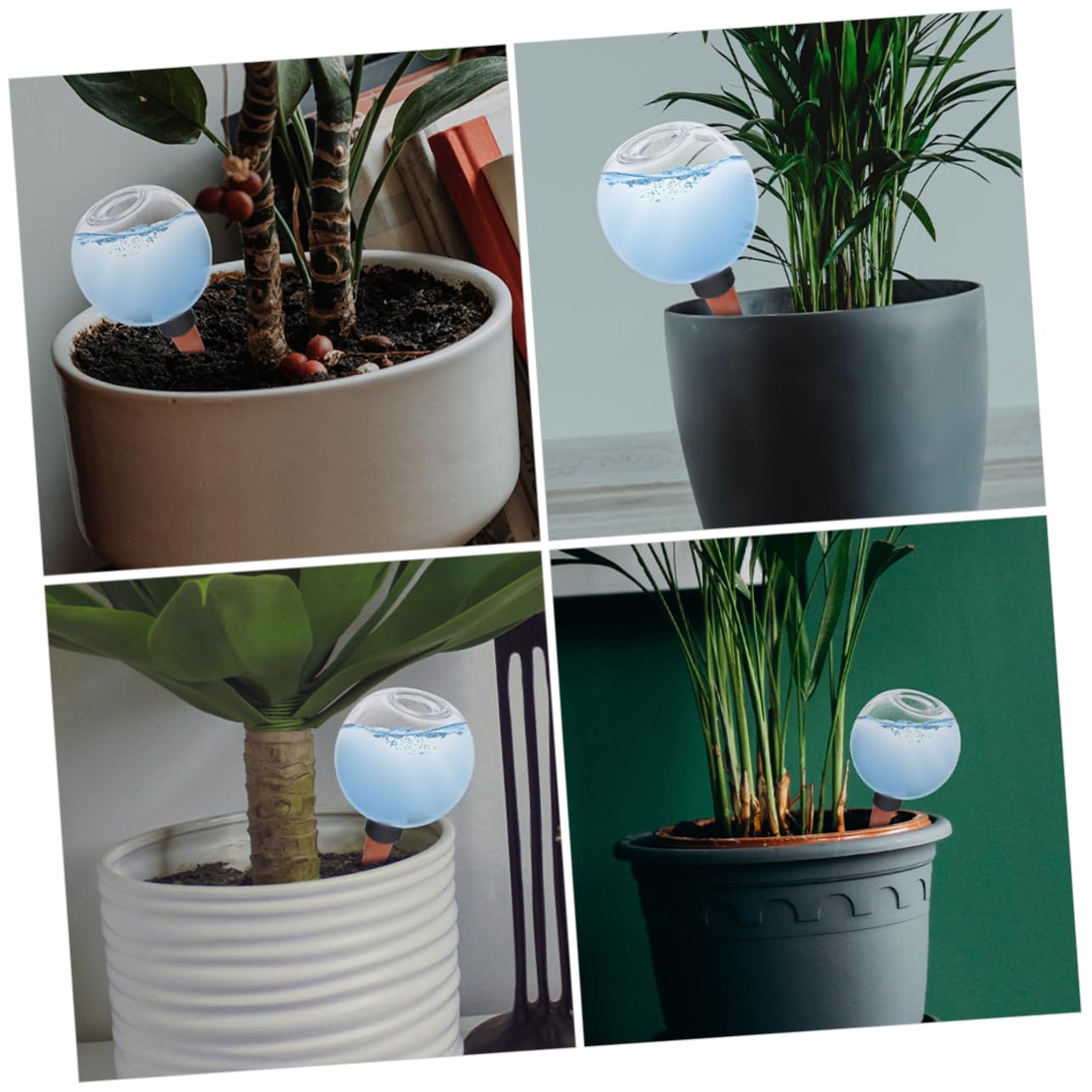 TOYANDONA 6pièces Globes Arrosage Automatique Système Irrigation pour Plantes Intérieur Et Extérieur Dispositif De à pour Et Plantes Pot