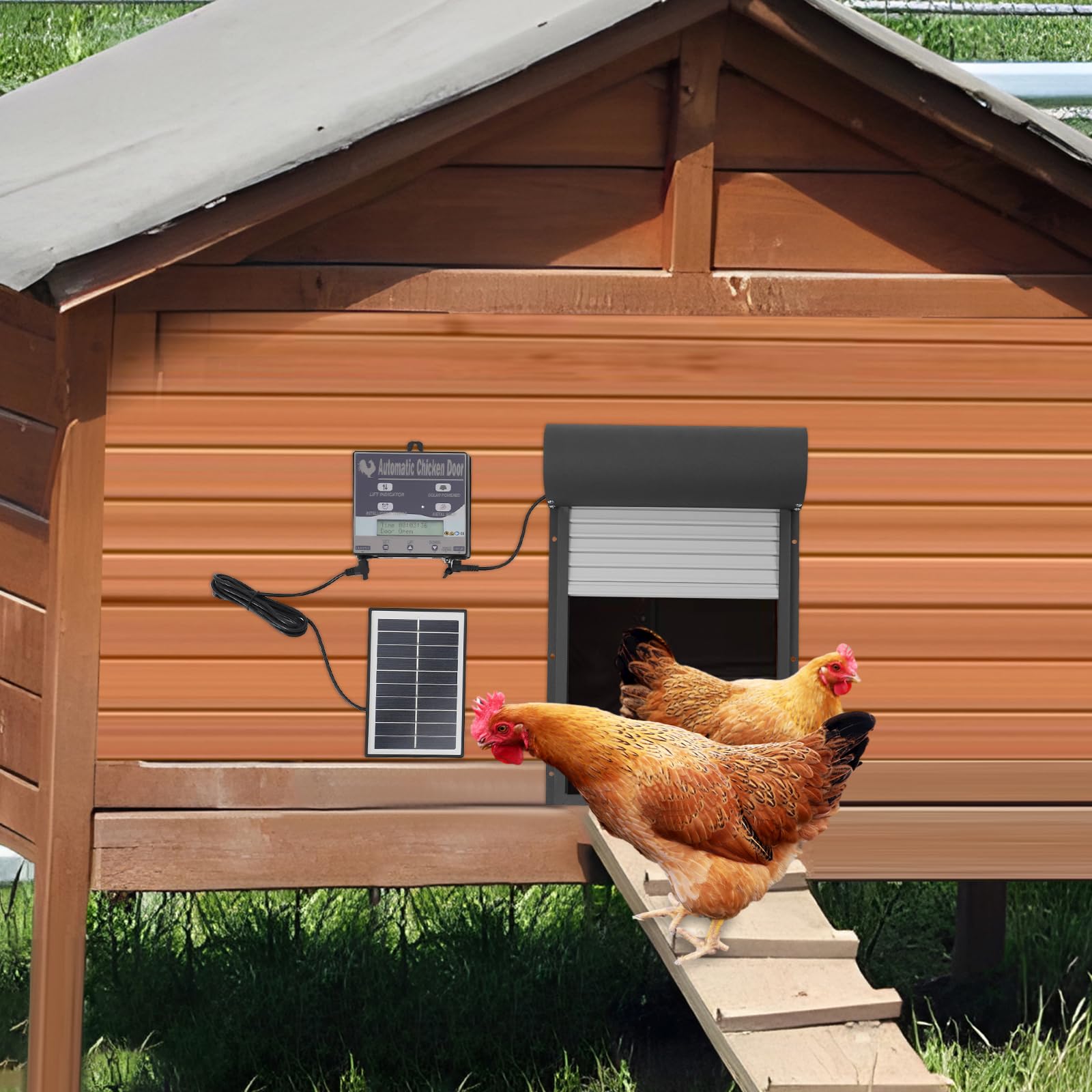 Puerta automática de gallinero solar de 5 W, puerta automática para gallinero, puerta eléctrica automática con mando a distancia, para gallinas, gansos, patos y otras aves pequeñas (negro)