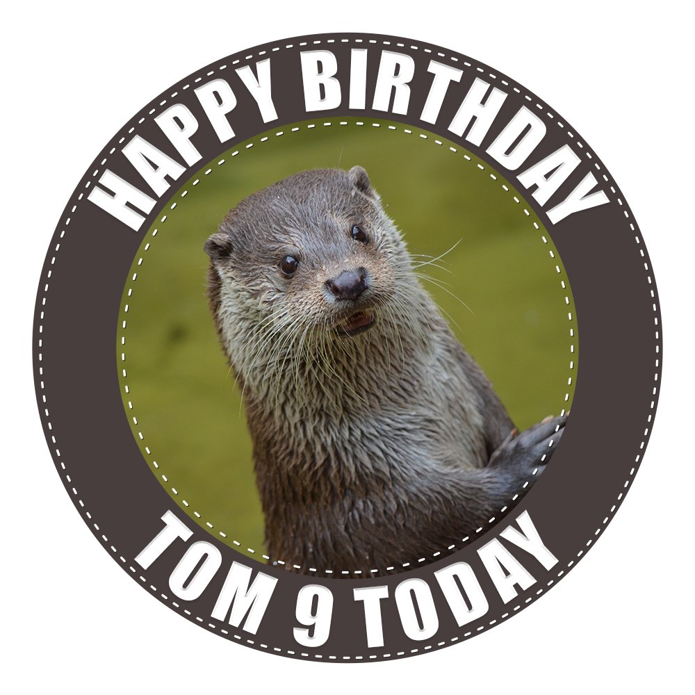 Otter - Any Size (4in - 7.5in) Personalised Edible Cake Topper on Premium Icing