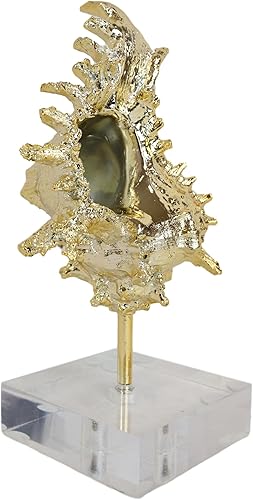 Miniatura 3 de Ebros Gift Maravillas maravillas marinas maravillas oceánicas, gran concha dorada de Murex Ramosus con base acrílica, 9 pulgadas de alto, decoración