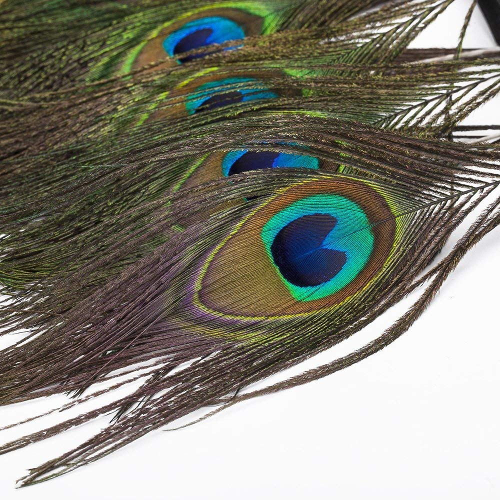 Plumes De Paon Bleu Naturelles, Vert Bleu, Grande Taille - Plumes