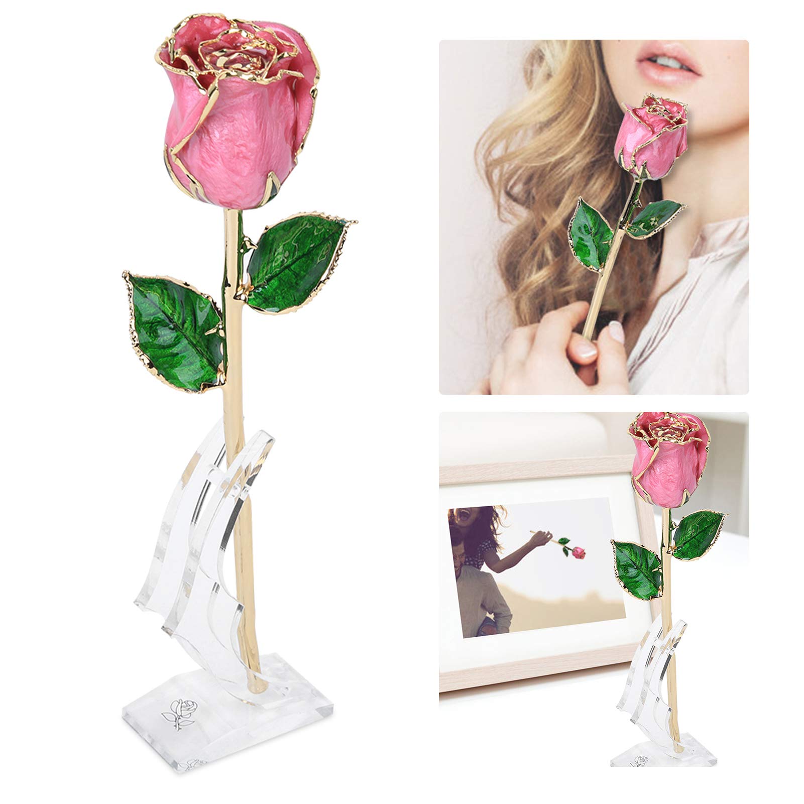 San Valentín Romántica Flor de Rosas Reales Chapada en Oro de 24 Quilates