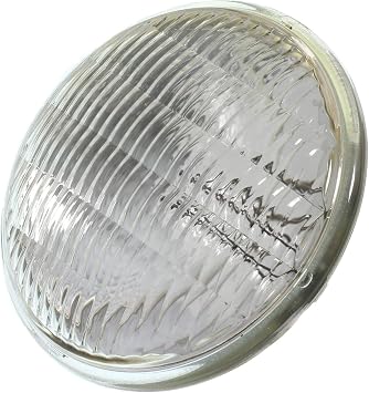 Wagner Lighting 4578 Standard Multi-Purpose Light Bulb Box of 1
