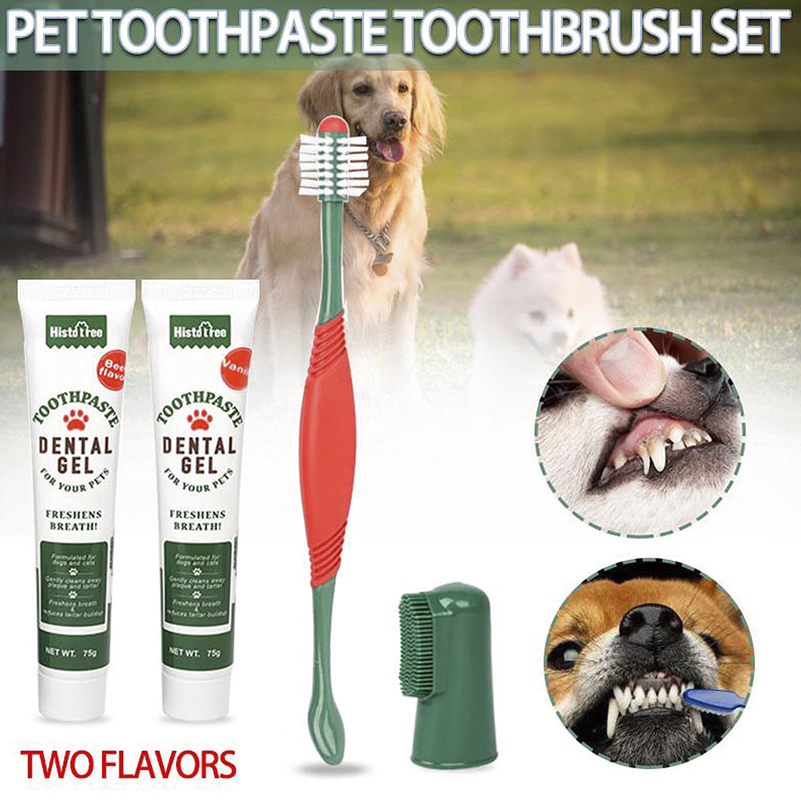 Pet Toothbrush and Toothpaste Teeth Brushing Kit Dog Cat Finger Toothbrush with Beef Flavor Toothpaste Kit Dog Plaque Removal Health Supplies - Image 3