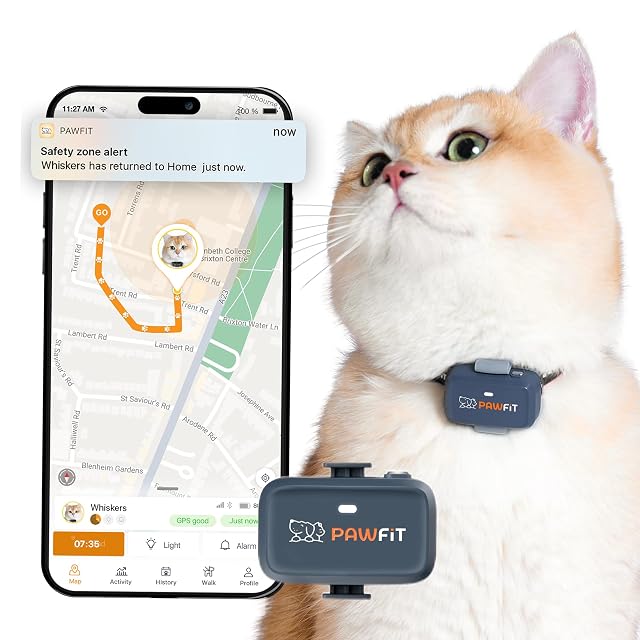 Pawfit Lite - Rastreador GPS 4g para gatos