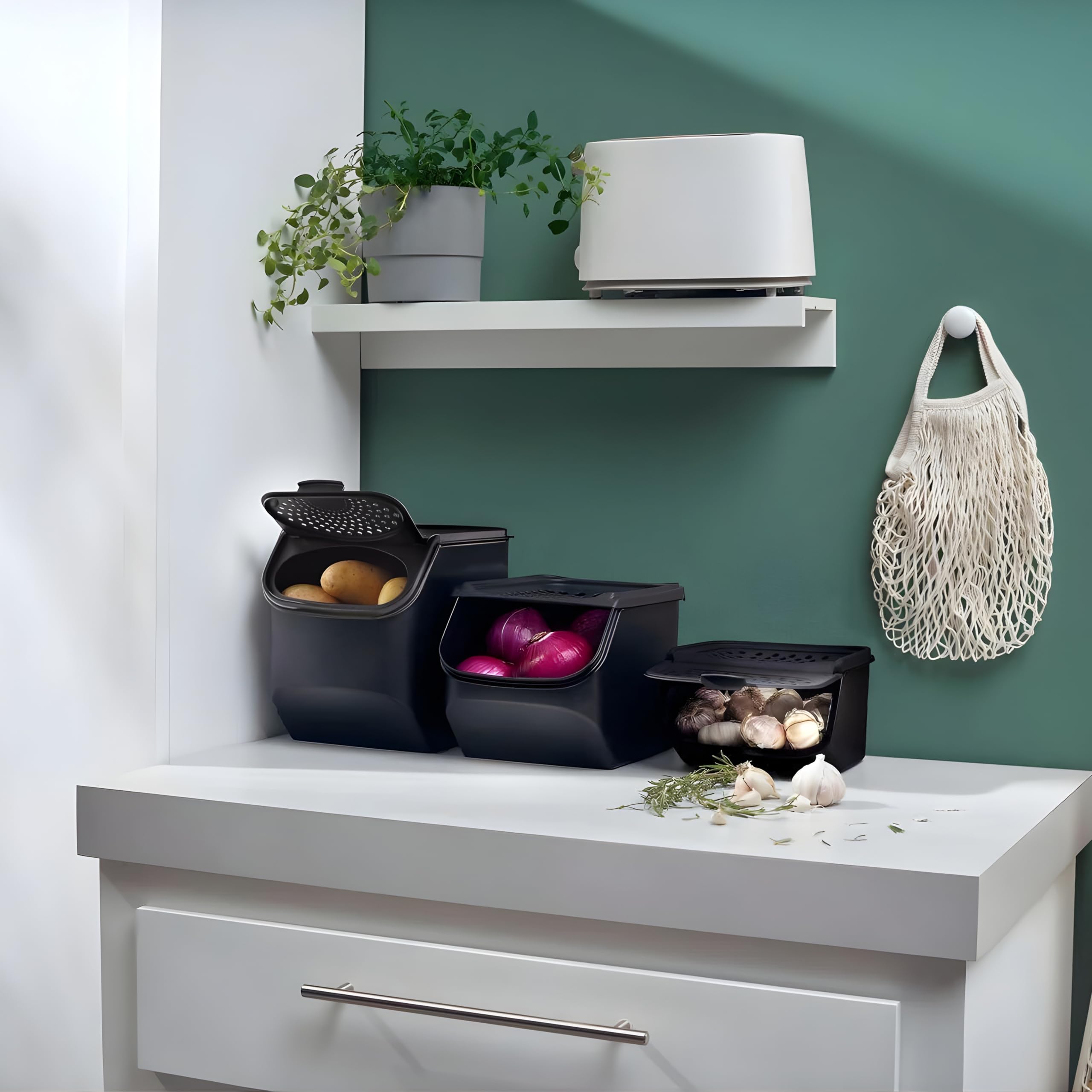 Tupperware Shallot & Garlic N All Smart Keeper Container Mate 2.3L en negro, 10176023000
