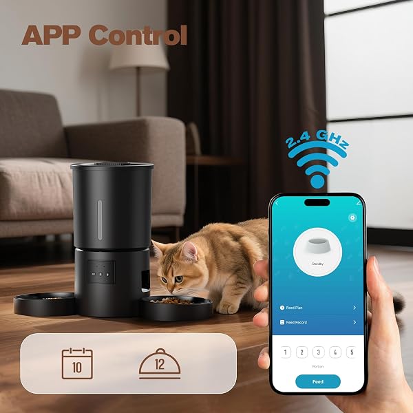 Comedero Gato Automático Doble & App: Dispensador Automático de 5L con WiFi 2.4G y Temporizador para Comida Seca - Diseño de Comedero Doble AONBOY para Múltiples Gatos y Perros - Negro - 2