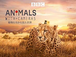 動物たちから見た世界(吹替版)