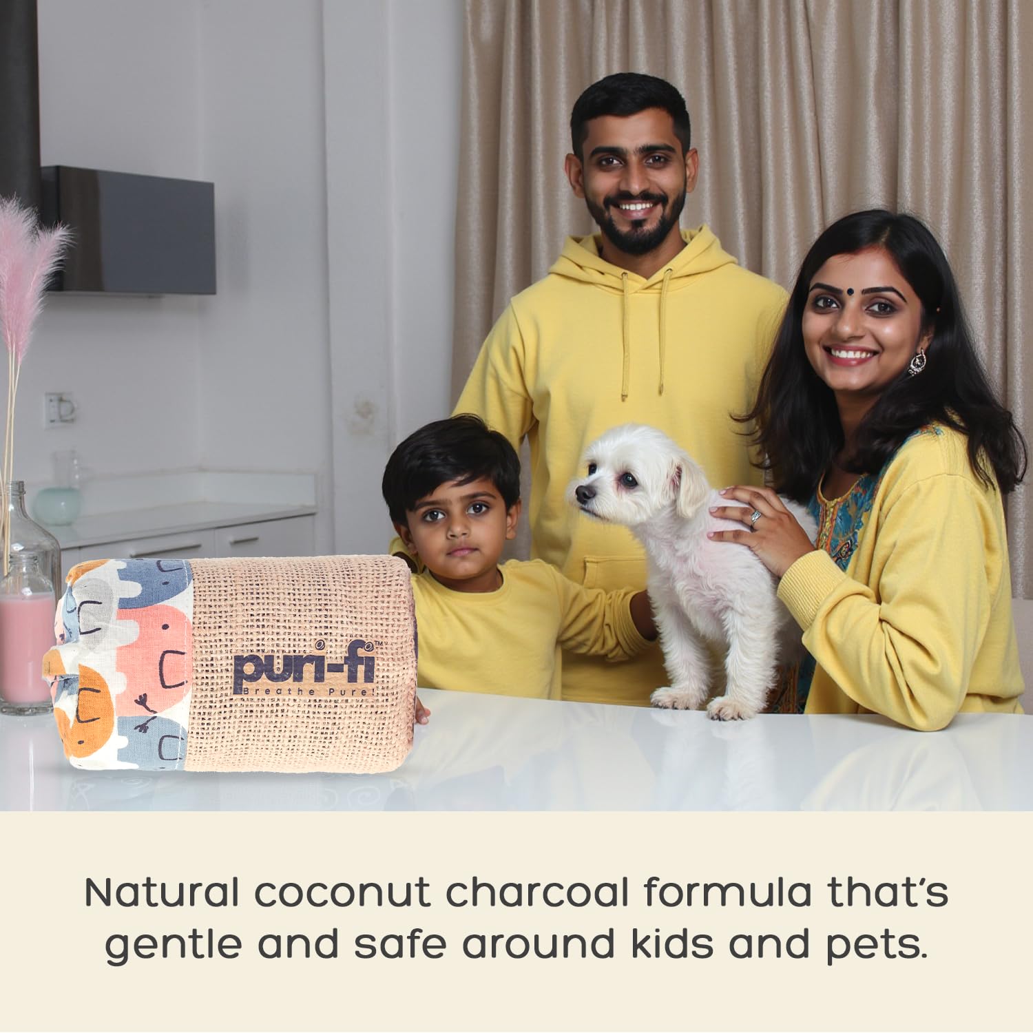 Activated Charcoal Air Purifier, Non-Electric, Coconut Shell...