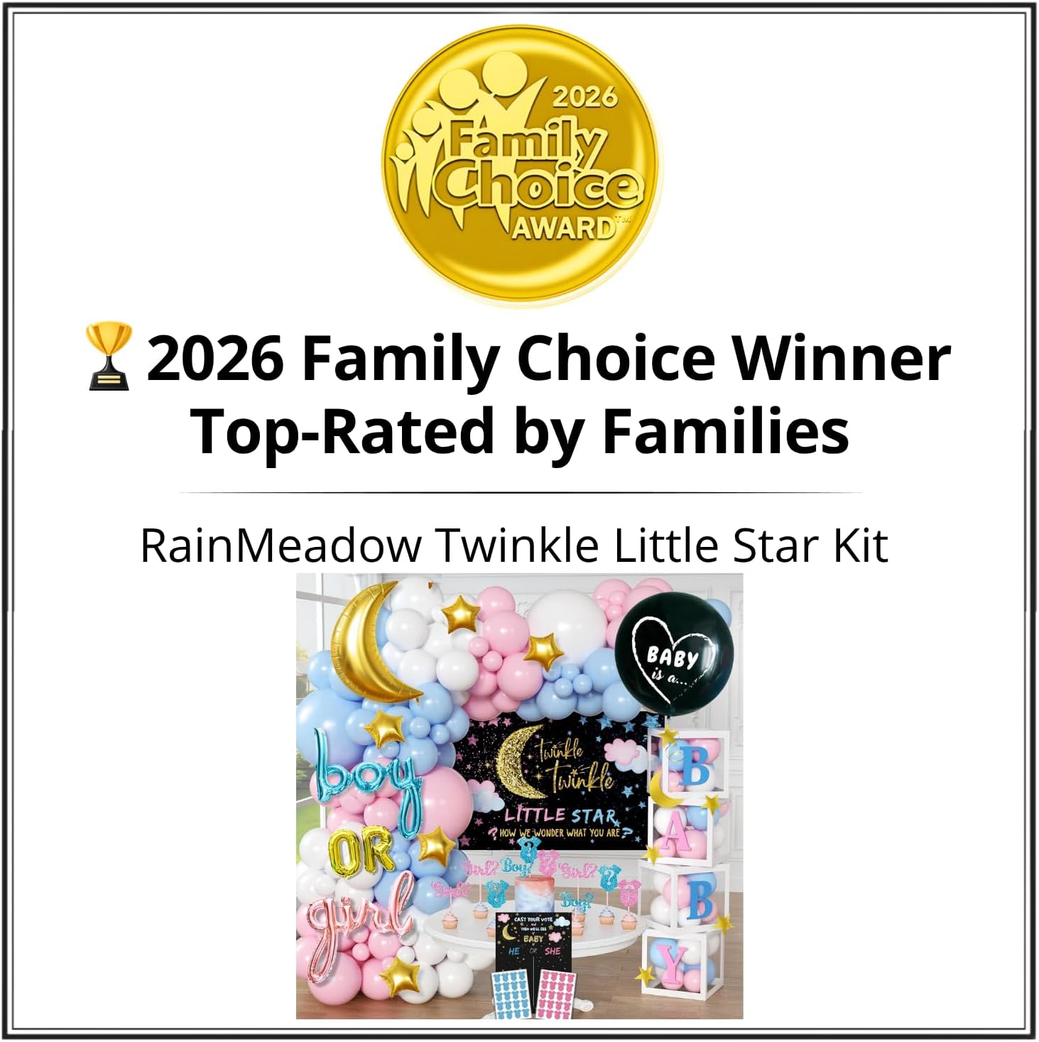 191 Pc Twinkle Twinkle Little Star Gender Reveal Decorations, Boy or Girl image 2