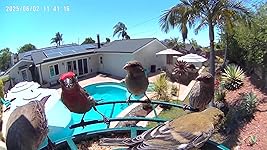 Review Image by J. Cassidy