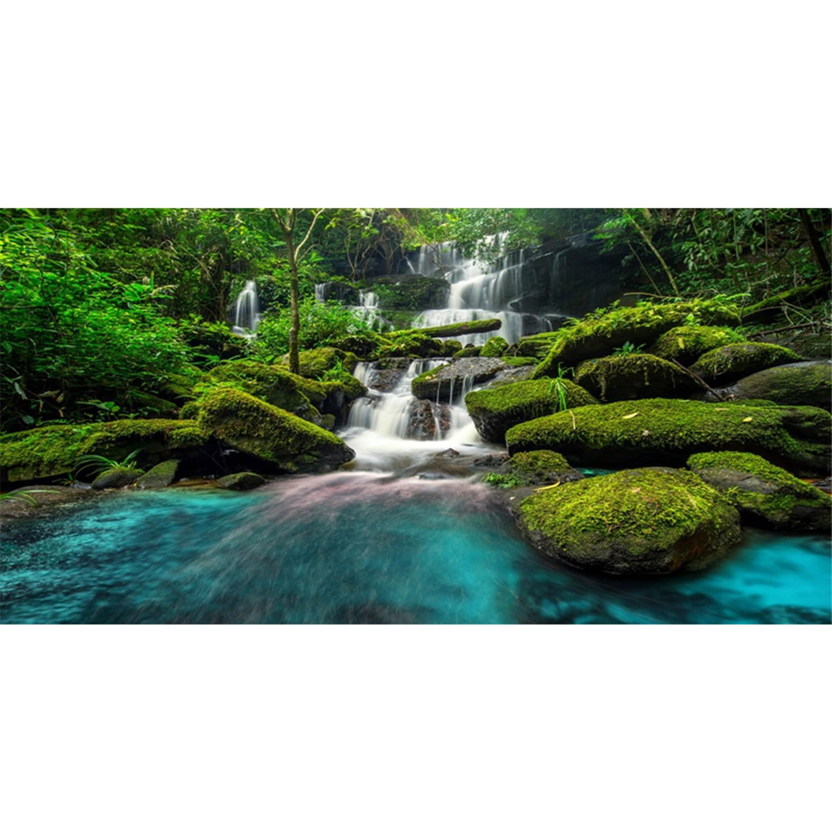 MIRRORANG 91x50cm Waterfall Terrarium Background Tropical Rainforest Aquarium Background Mountain Lake Green Tree Reptile Habitat Background Vinyl