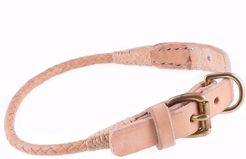 Alvalley Collar de perro trenzado con hebilla  Collar de entrenamiento para perros fuerte y elegante  Viene con seis hebras de cuero trenzado a mano