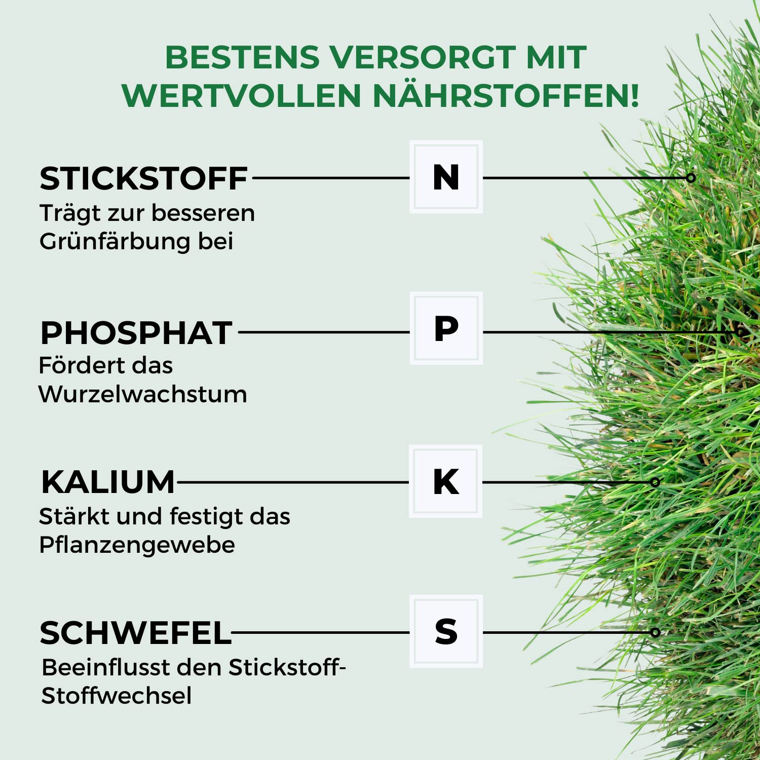 Allflor Herbst-Rasendünger 6x 10kg Beutel I Zur Stärkung der Gräser I Optimale Nährstoffzufuhr I Macht den Rasen winterfest I füllt Kalidepot auf I Ideal für Spätsommer & Herbst