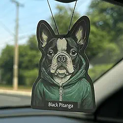 Aromatizante Sachê para carro - Vscent | Cheirinho de carro | Linha Dog (Black Pitanga)