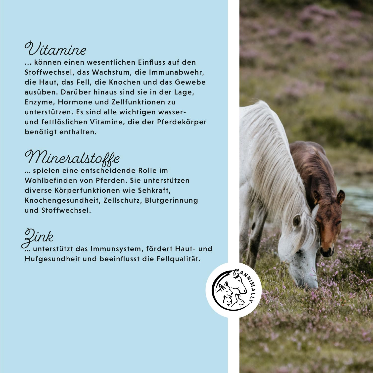 Mineralfutter Pferde organisch getreidefrei 3 kg - getreidefreies Ergänzungs Pferdefutter mit Vitaminen, Mineralstoffen und Spurenelementen, wie Zink, Selen, Omega 3 und Jod (3 kg Eimer)