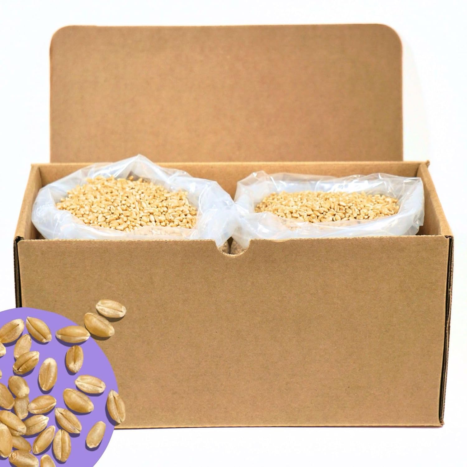 PlainGrains. The Natural Way | 11 LB Dry Hard White Wheat Berries | 12.5% AV Protein by Volume | Uncooked, Unground, Whole Grain | Single Box