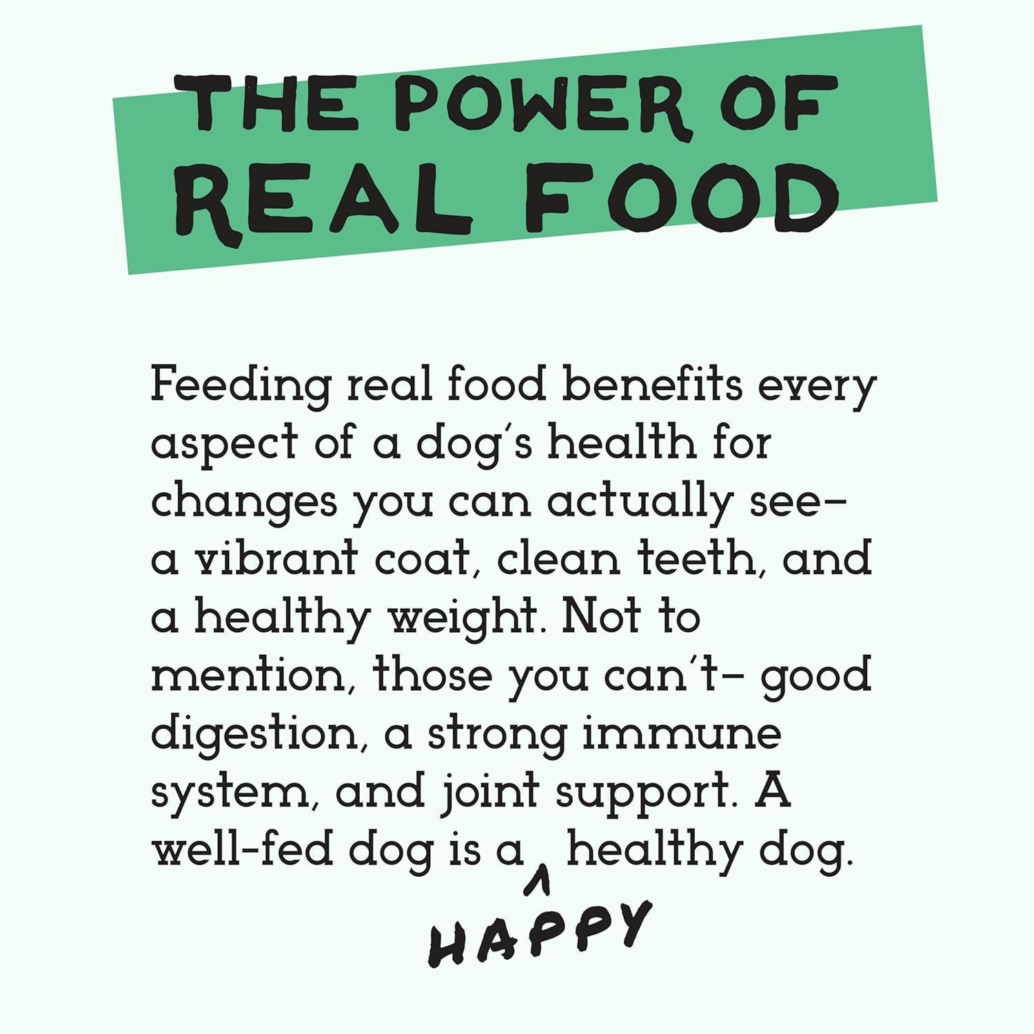 Simple Food Project - Bison Recipe - Freeze Dried Raw Food for Dogs - 48oz