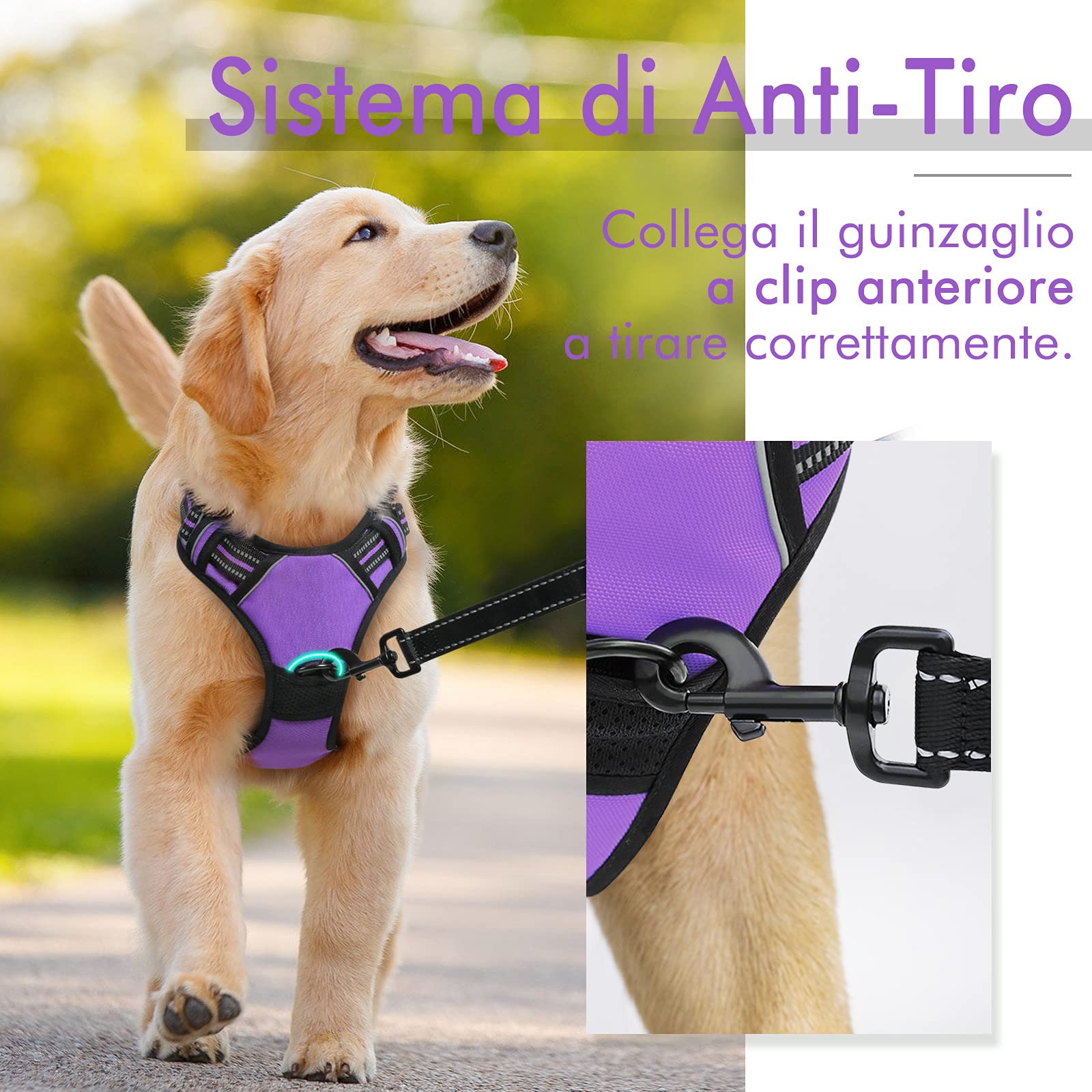 rabbitgoo Pettorina Cane Taglia Piccola, Pettorina Cane ad h Regolabile con 2 Ganci in Metallo, Pettorina per Cani Anti Tiro Riflettente, Imbracatura Cani Traspirante per Addestramento(XS, Viola)