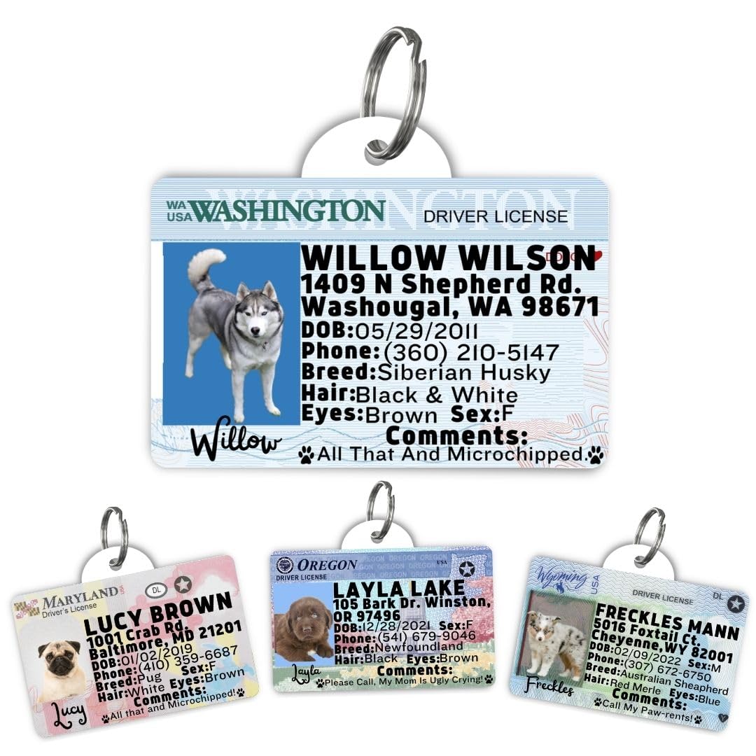 Washington Driver License Custom Dog Tag for Pets and Wallet Card - Dog Tags for Dogs - Dog ID Tag - Personalized Dog ID Tags - Pet ID Tags for Cats - Personalized Pet ID Tags (Washington, Tag)