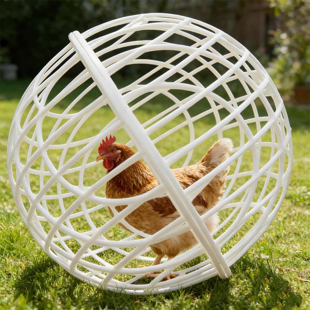 Rolling Chicken Ball Cage, Detachable Rolling Chicken Coop Balls, Chickens Orb Ball Cage to Free Range, Safe Walking Net, Movable Enclosure Feeder for Pigeons, Rabbits, Ducks (White*2, 15.8in)