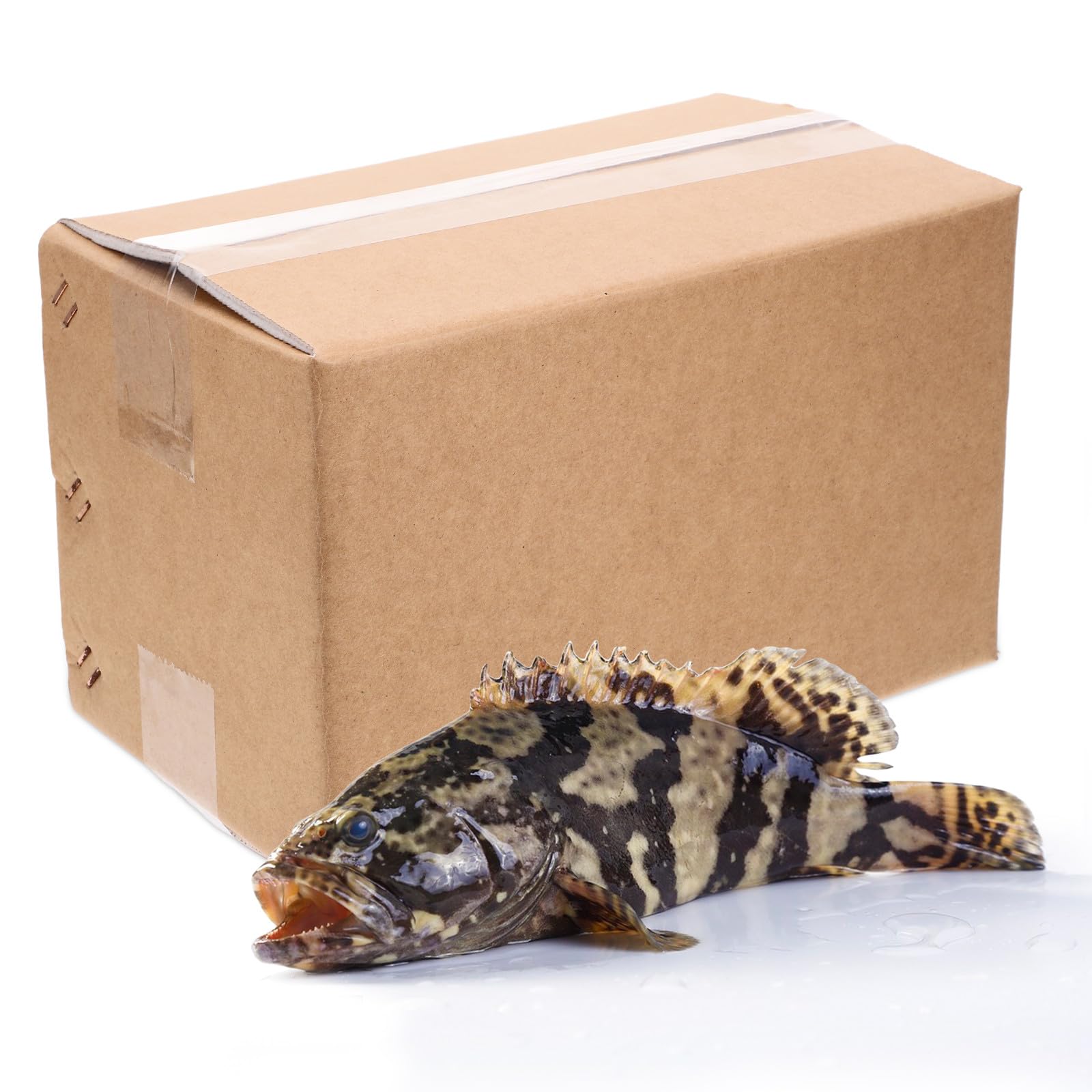 Cajas Isotérmicas de Envío 2 Piezas Forro de Papel Aluminio Tamaño 29X18X20 CM Capacidad 5 Kg Cajas Térmicas Reutilizables para Alimentos Fríos y Mariscos Embalaje Aislante