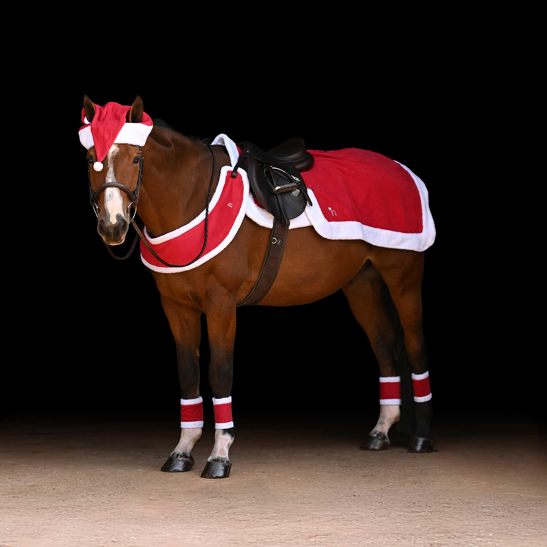 Amazon.com: Horze Santa Christmas Fleece Horse Quarter Sheet