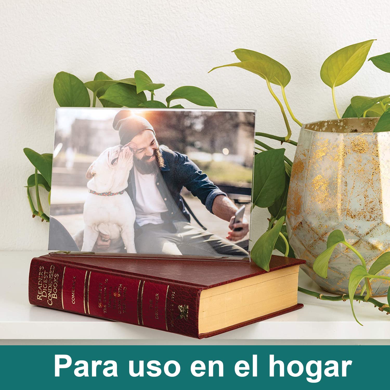 Ichigo Ichie Juego de 6 Soporte de Sobremesa de A4, Portafotos de Plástico Transparente, Soportes de Acrílico para Fotos, Ideal para Hogar, Hotel, Oficina, Tienda y Restaurante (Horizontal)