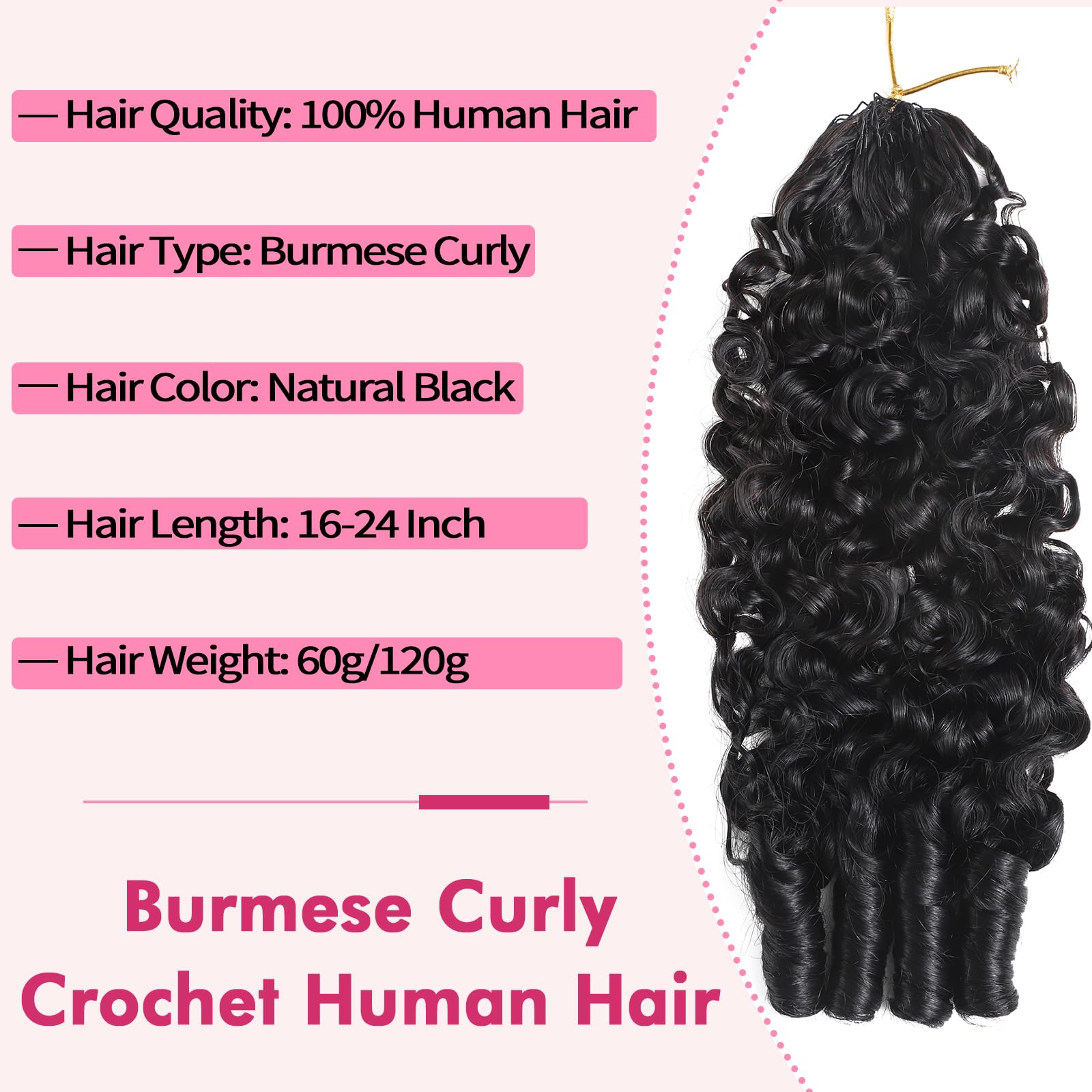 Beauty Queen Burmese Curl...B0FMY1YVRL | Encarguelo.com.ec