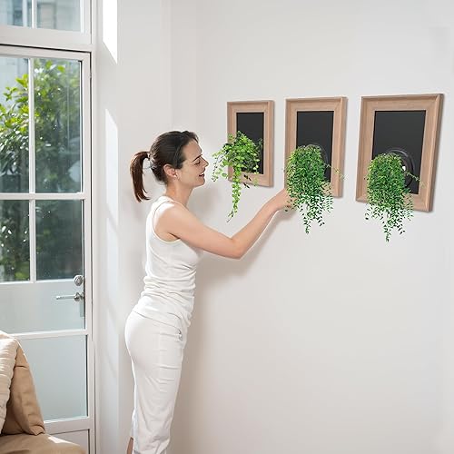 Miniatura 7 de Maceta colgante de pared con marco de madera natural para plantas hidropónicas, jarrón de pared de 12 x 16 pulgadas con estación de propagación