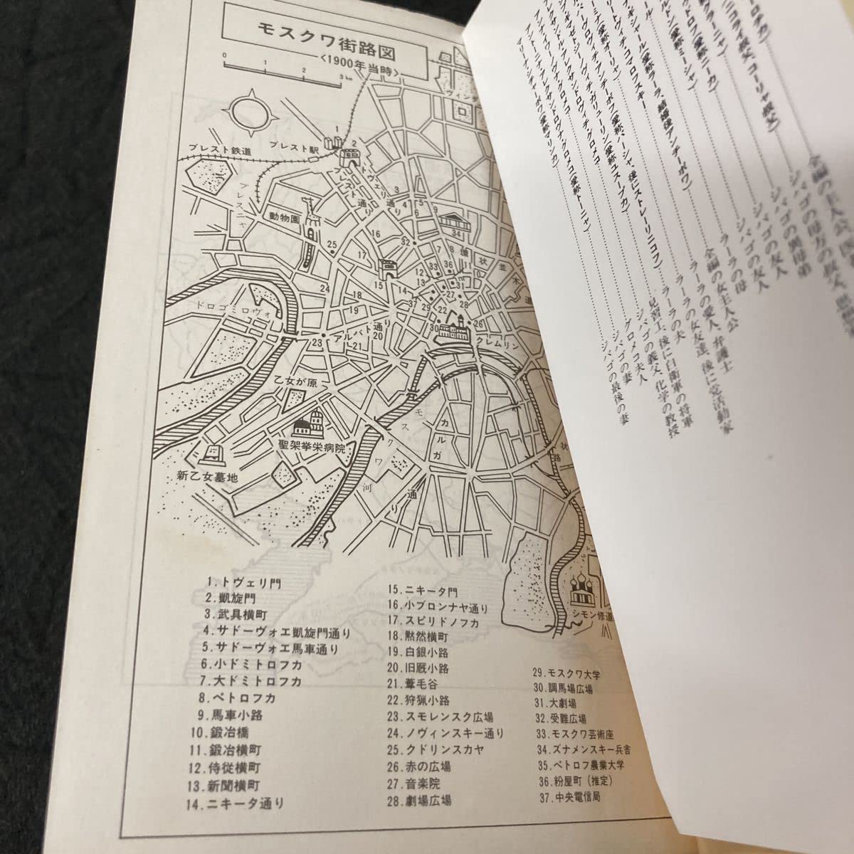 Amazon.co.jp: ドクトル ジバゴ 上下巻2冊セット ボリス パステル 