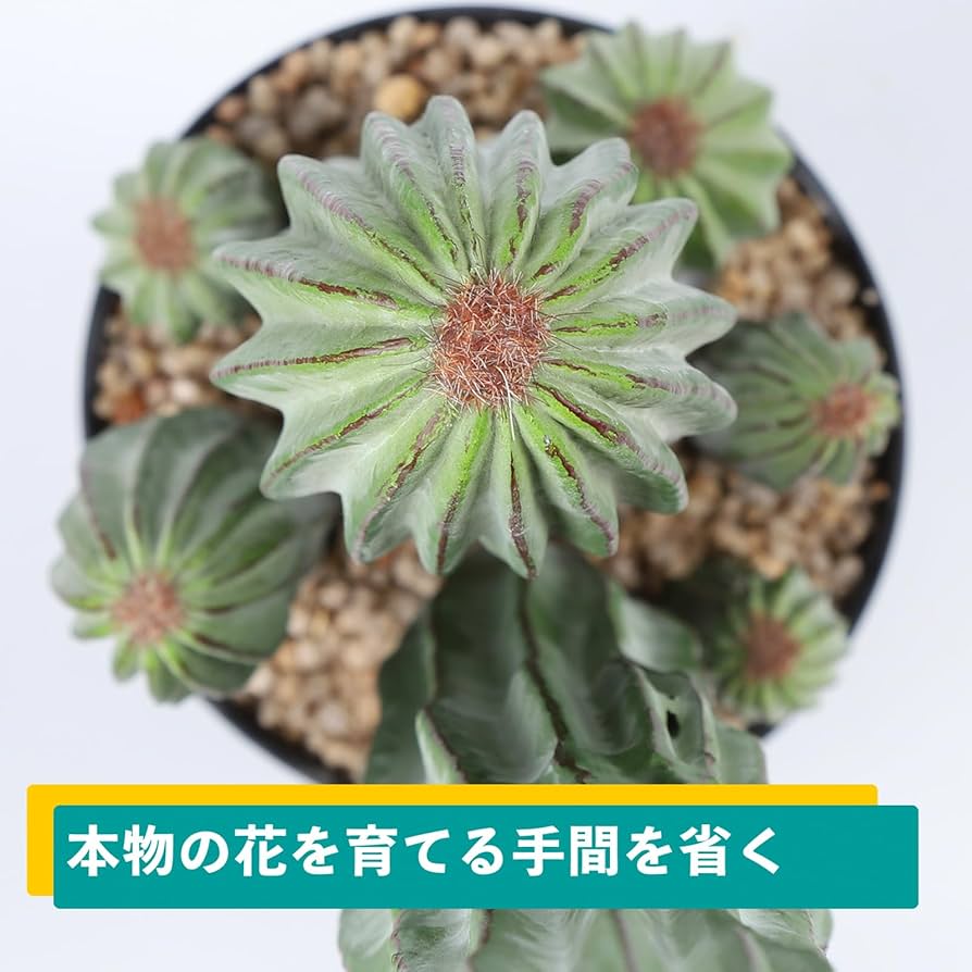 Amazon｜人工観葉植物 サボテン フェイクグリーン 78CM 造花