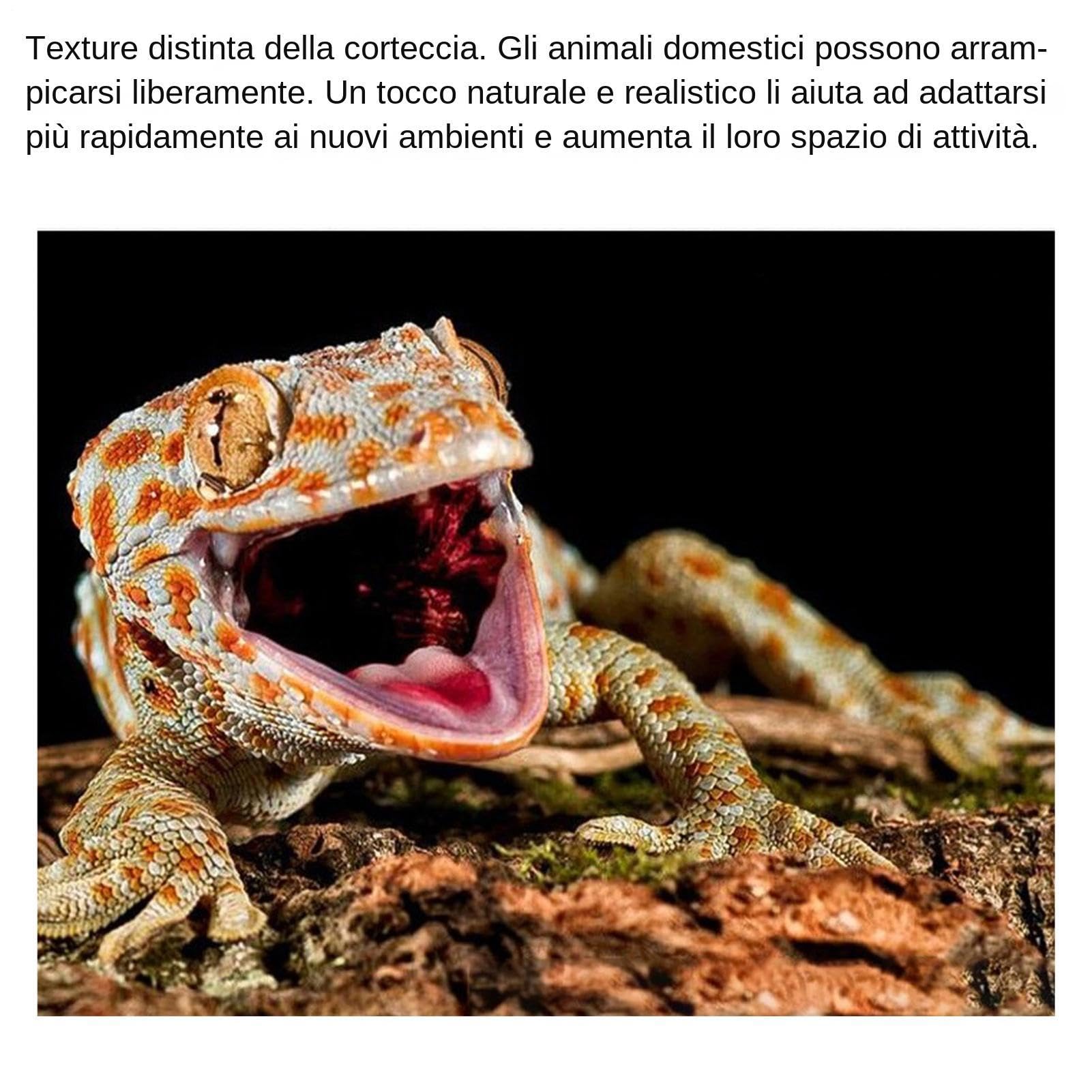 Corteccia di sughero per rettili - Corteccia di sughero per terrario | Sfondo di sugheros per terrario, giocattolo per esercizi di arrampicata resistente all'acqua Terrari Sugheros naturale Cortecce