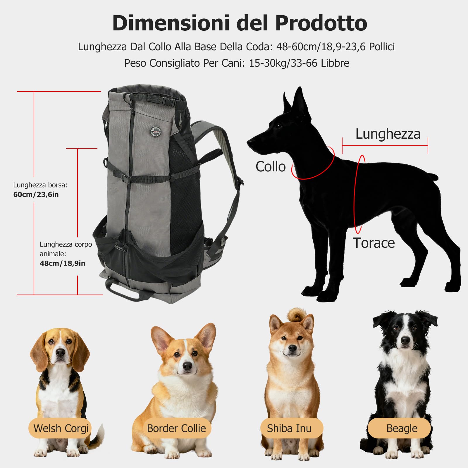 PETCUTE Zaino per Cani,Zaino Traspirante per Gatti con fodera Impermeabile,Trasportino Pieghevole per Cani con Imbracatura di Sicurezza,Imbottitura Rimovibile, per Viaggi,Passeggiate all'aperto