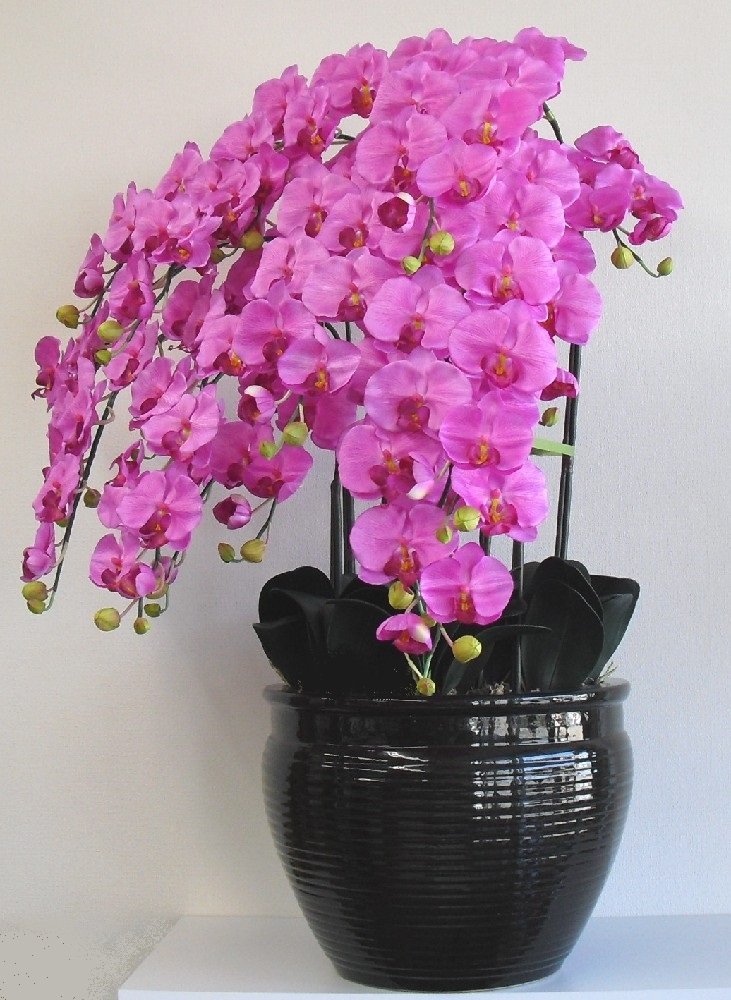 造花光触媒　胡蝶蘭　赤紫色 造花光触媒 胡蝶蘭 赤紫色