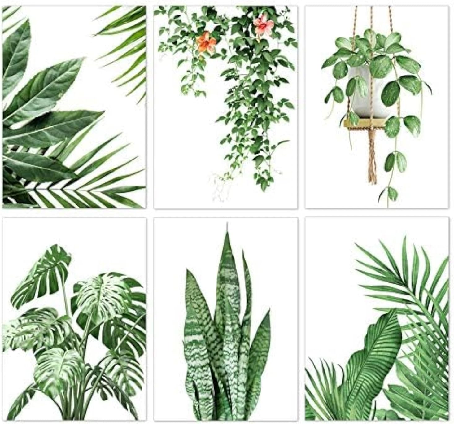 PP OPOUNT 6 Pack 5D Diamond Art Kits for Adults, Green Plants Full Drill Round Diamond Cross Stitch Diamond Art by Number Kits for Home Wall Decor(11.8x15.7 inch, Patent Product)