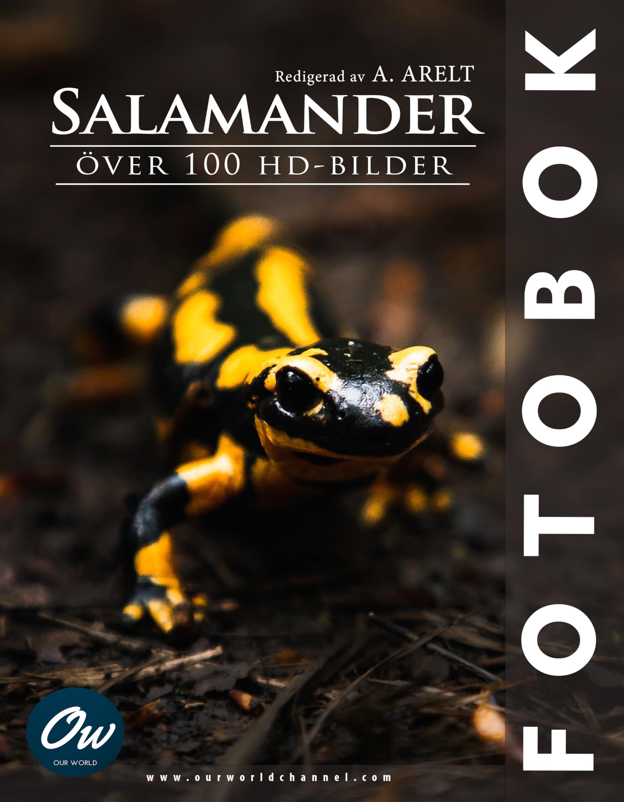 Salamander fotobok cadeau idéal pour les passionnés de photo d'art