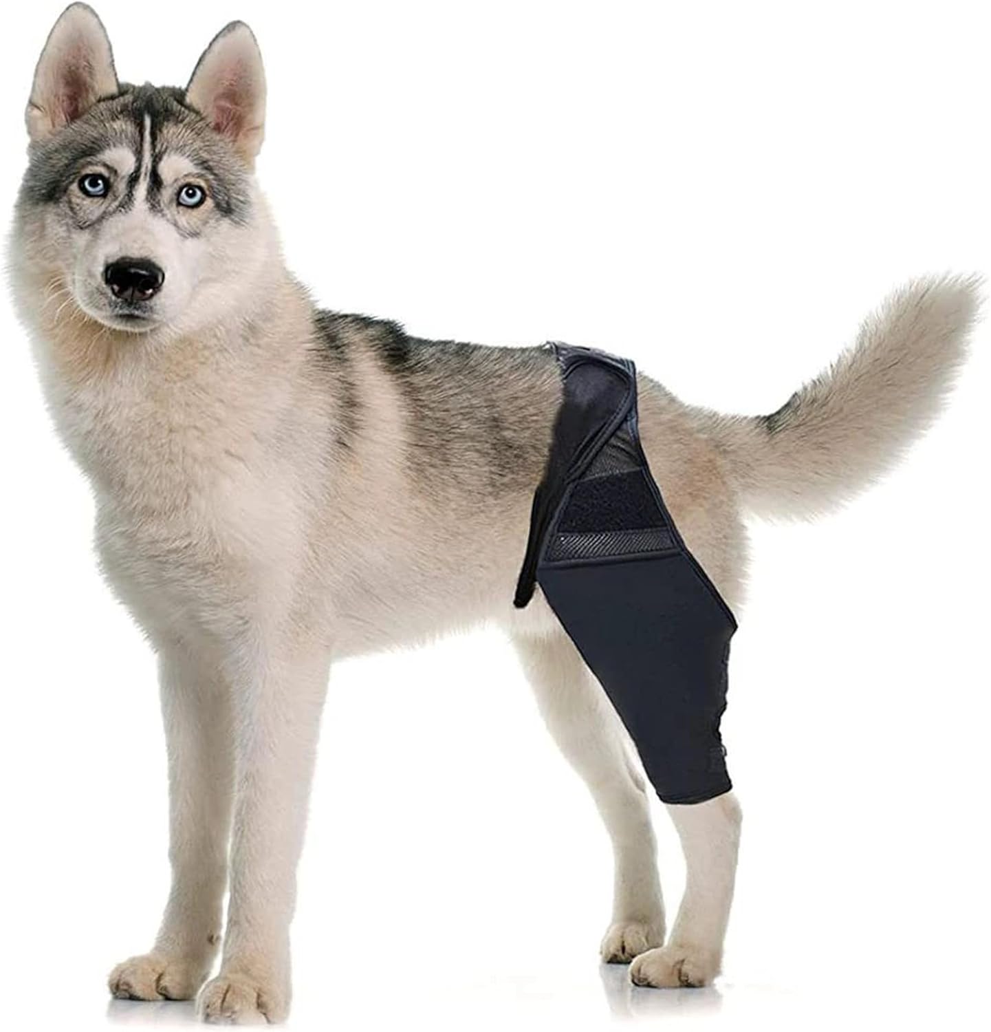 Oturgor Dog Knee Brace for Torn Acl Hind Leg,Dog Leg
