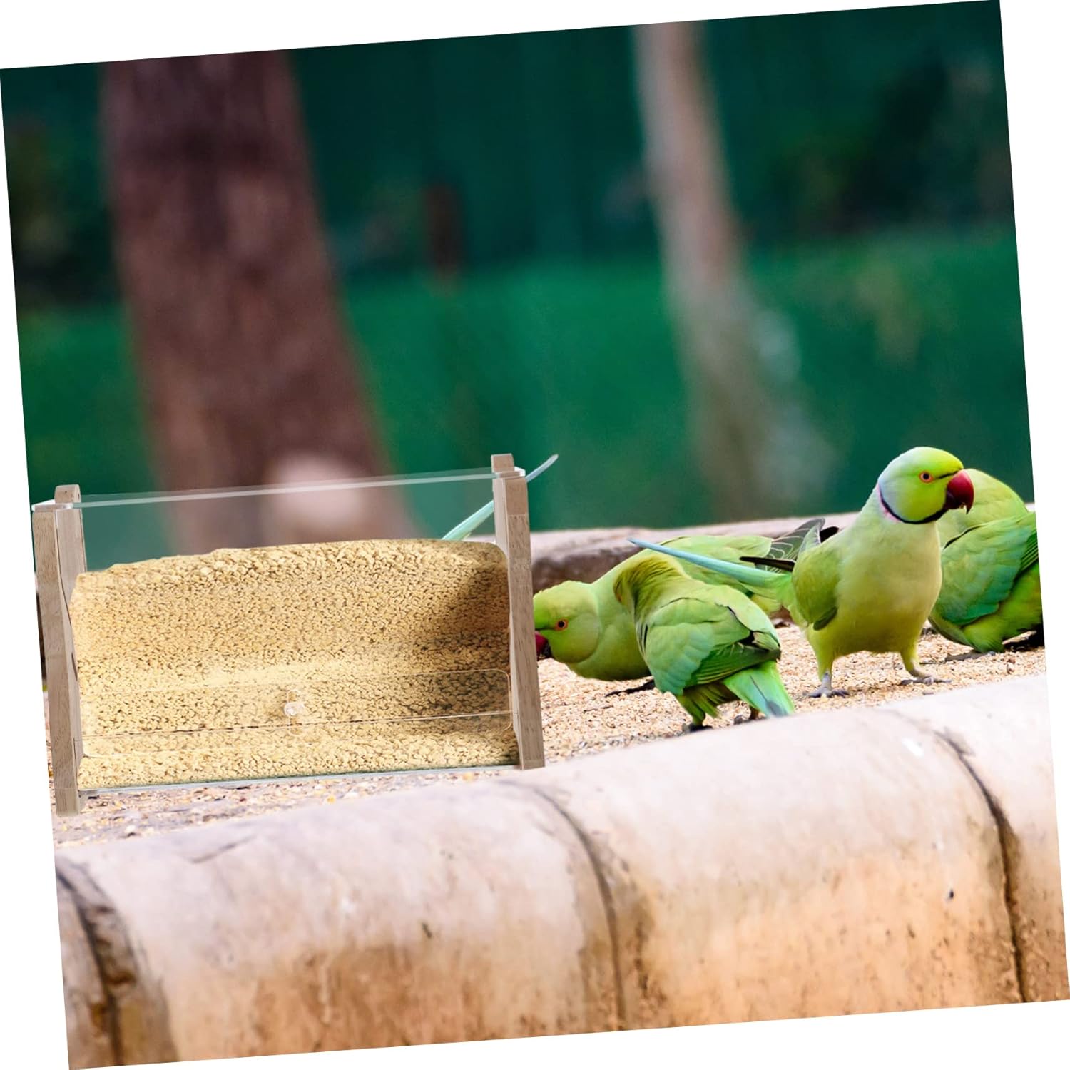 Generic Rutin Chicken Feeder Bird Automatic Pet Feeder Oriole Feeder Clear Bird Feeder Food Storage Containers Automatic Food Feeding Tool Chicken Watering System Acrylic Beige