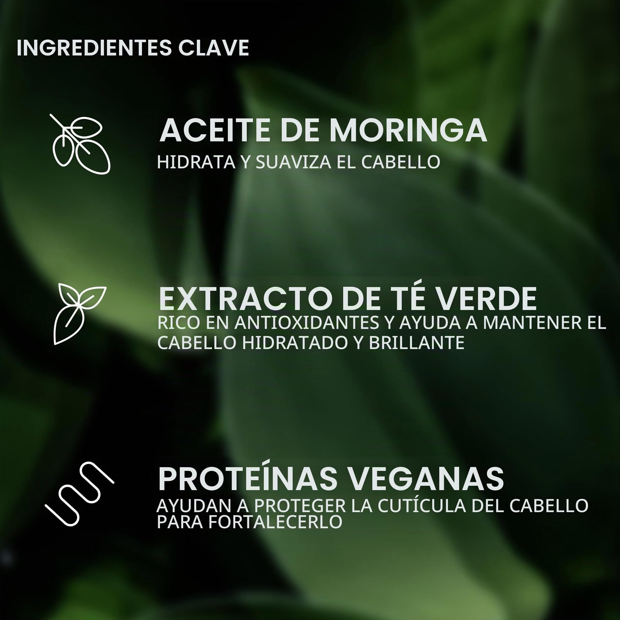VERB Ghost Oil - Argan+Moringa 2oz (ALL SEALED) by verb